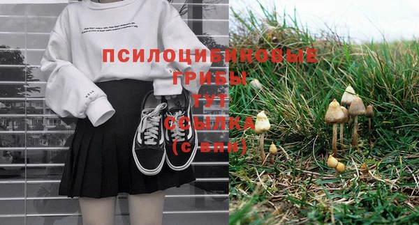 дживик Аркадак