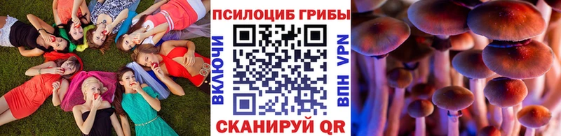 Псилоцибиновые грибы MAGIC MUSHROOMS Строитель