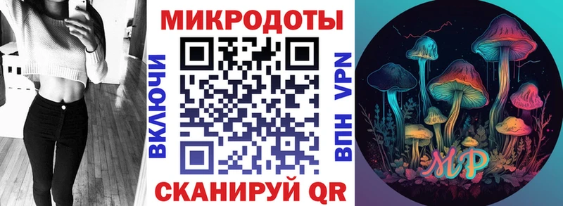 где найти наркотики  Строитель  Псилоцибиновые грибы мухоморы 